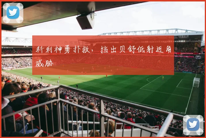 科利神勇扑救,挡出贝舒低射近角威胁