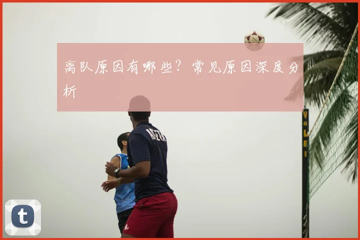 离队原因有哪些?常见原因深度分析