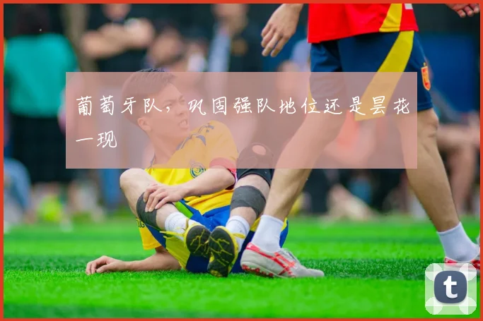 葡萄牙队,巩固强队地位还是昙花一现