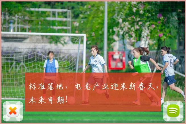 标准落地,电竞产业迎来新春天,未来可期!