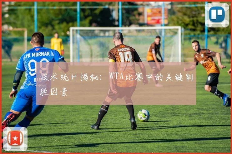 技术统计揭秘:WTA比赛中的关键制胜因素