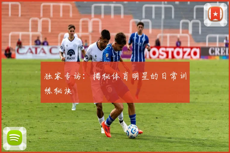 独家专访:揭秘体育明星的日常训练秘诀