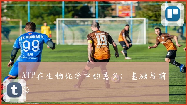ATP在生物化学中的意义:基础与前沿