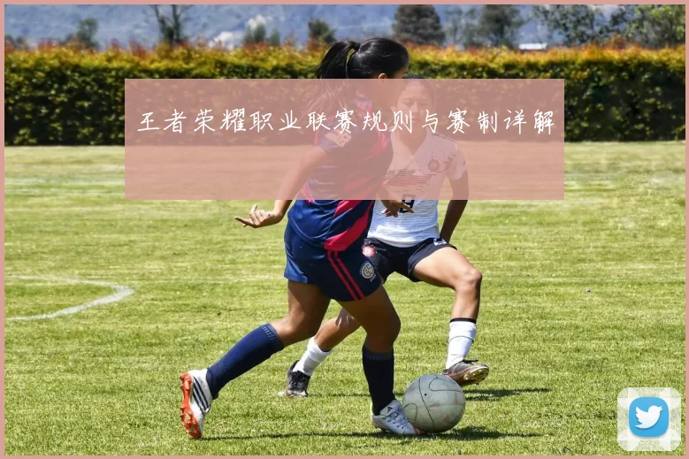 王者荣耀职业联赛规则与赛制详解