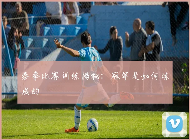 泰拳比赛训练揭秘:冠军是如何炼成的