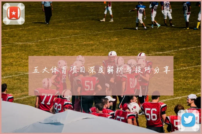 五大体育项目深度解析与技巧分享