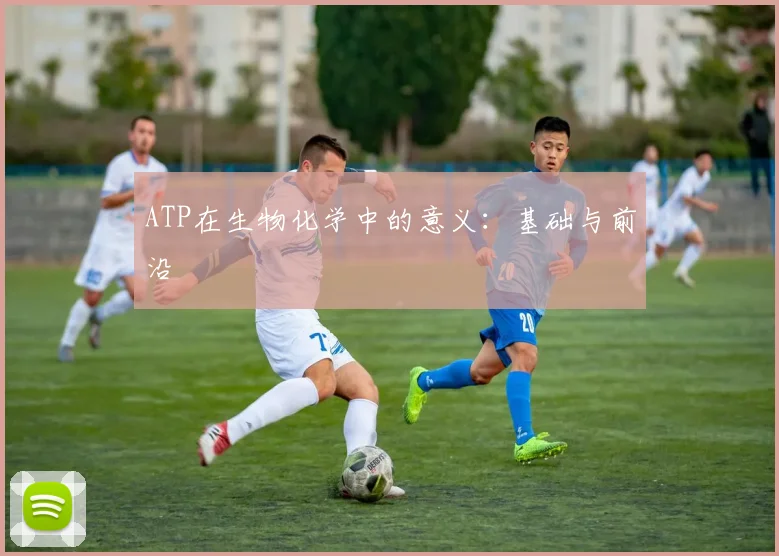 ATP在生物化学中的意义：基础与前沿